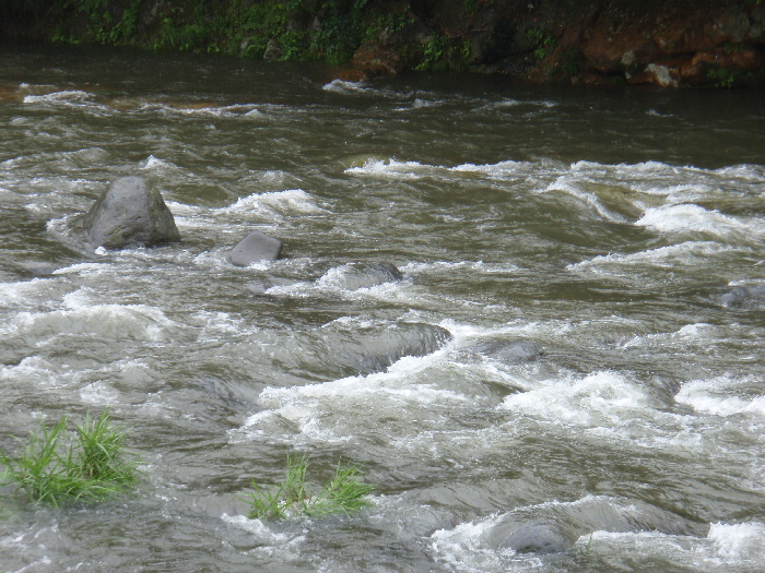 f0103126_115314.jpg