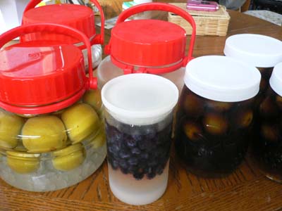 c0133533_071385.jpg