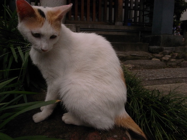 a0087341_1131575.jpg