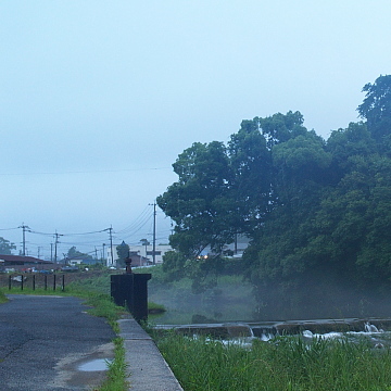 b0016043_9493055.jpg