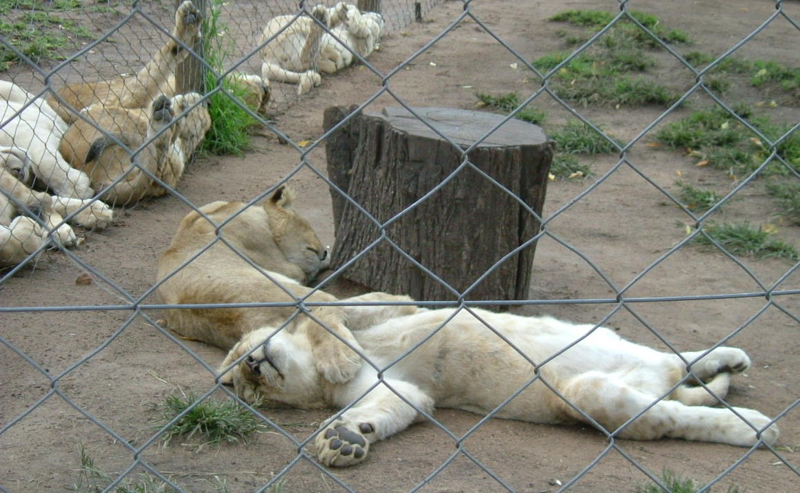 d0135148_2343411.jpg