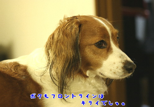 d0013149_8271462.jpg