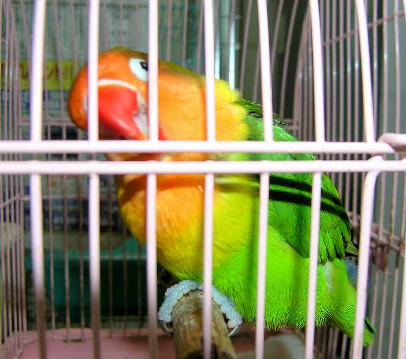 f0154649_15201444.jpg