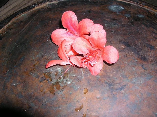 f0173150_0285718.jpg