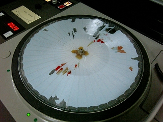 f0000652_1463680.jpg