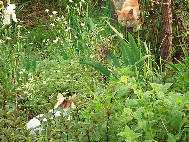 f0132565_1011583.jpg
