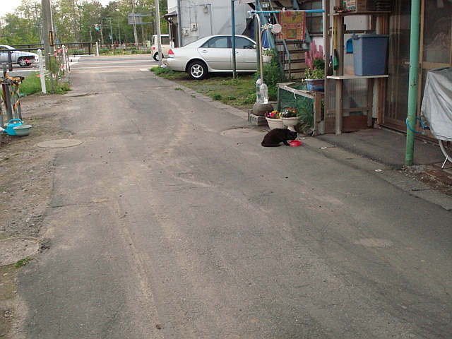 f0132565_1091198.jpg
