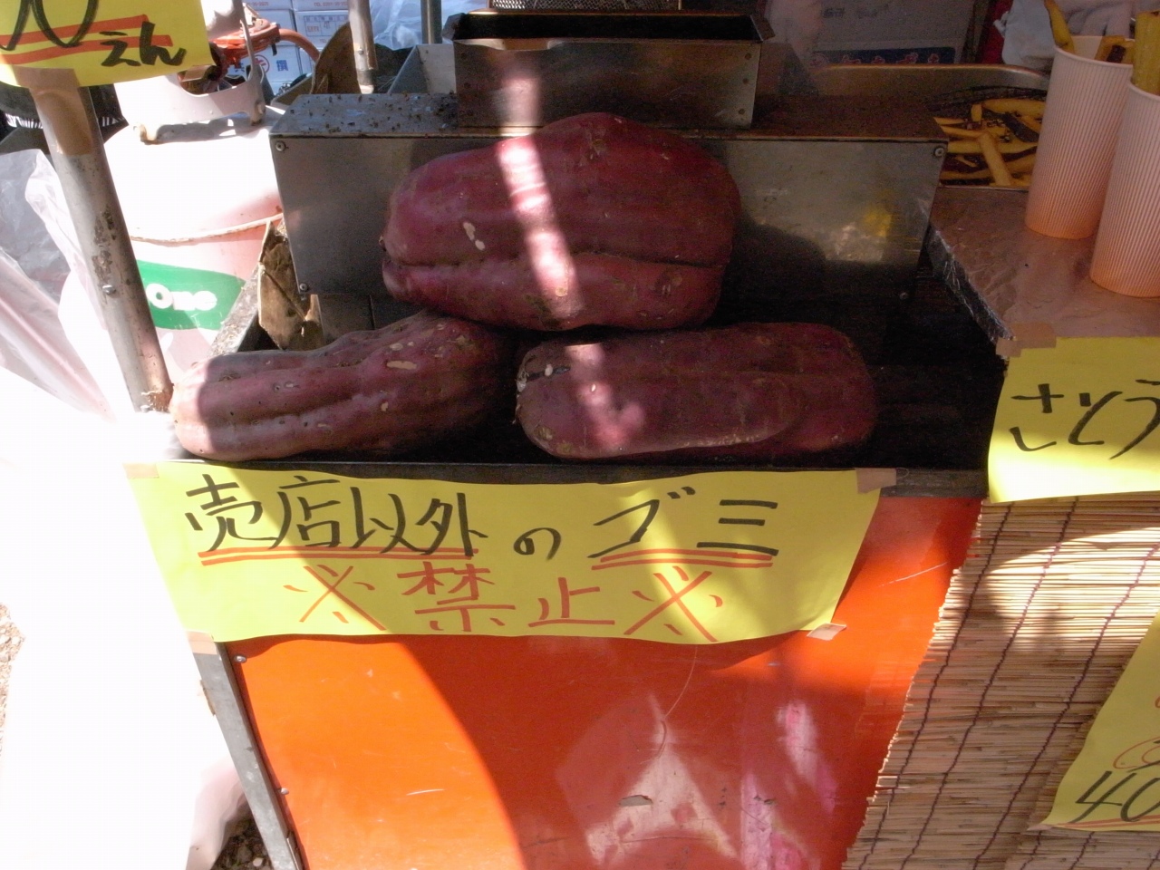 a0103569_091415.jpg