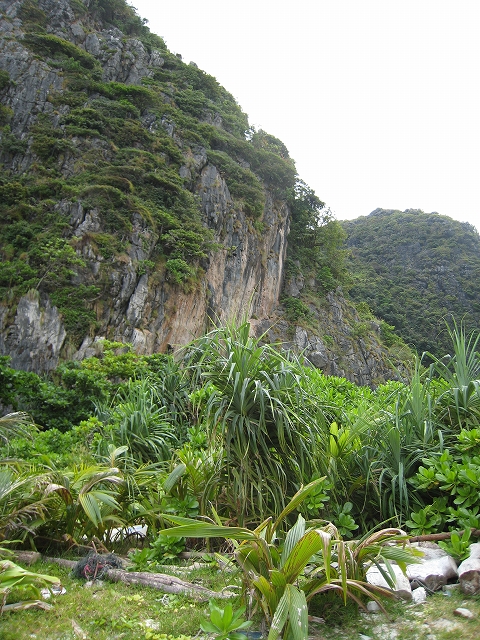 f0103484_11102442.jpg
