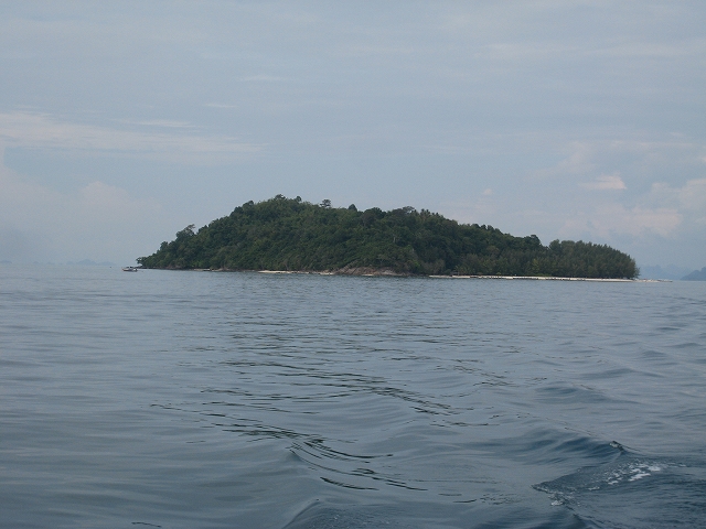 f0103484_11173890.jpg