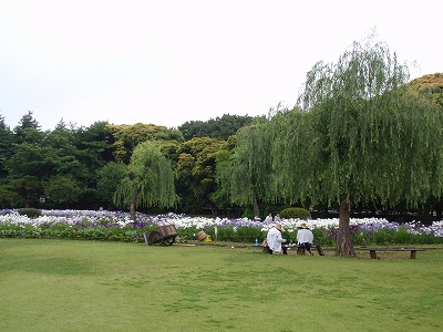 c0105785_9314091.jpg