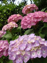 c0105785_9465156.jpg