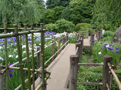 c0105785_9501387.jpg