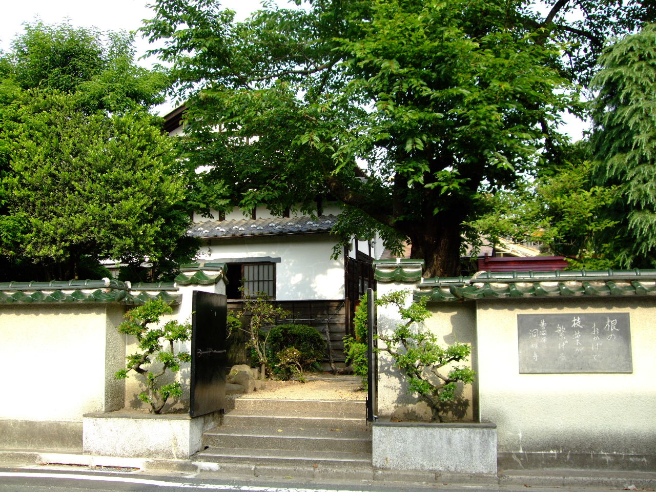 f0100593_2041101.jpg