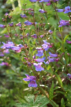 f0051194_22494667.jpg