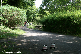 e0015195_23374449.jpg