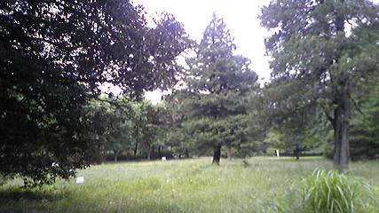 e0006700_21494712.jpg