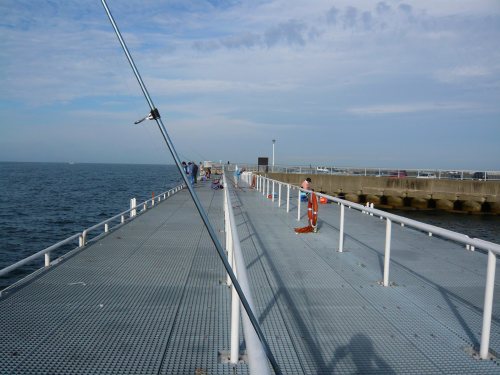 c0024502_19581150.jpg
