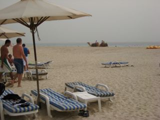 b0142203_428372.jpg