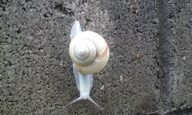 d0000607_0102752.jpg
