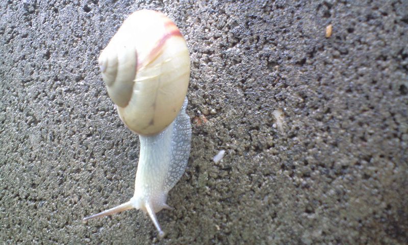 d0000607_0102766.jpg