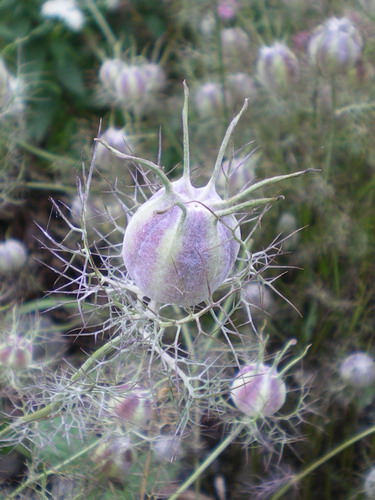 b0052108_13594168.jpg