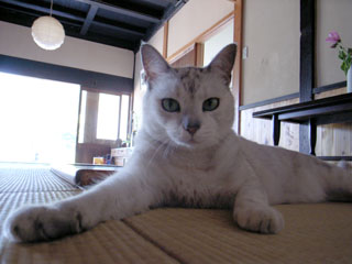 f0135908_7553750.jpg