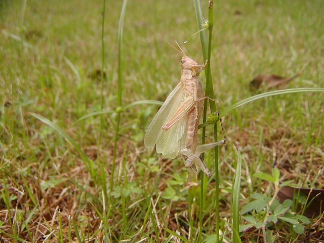 d0037110_20261679.jpg