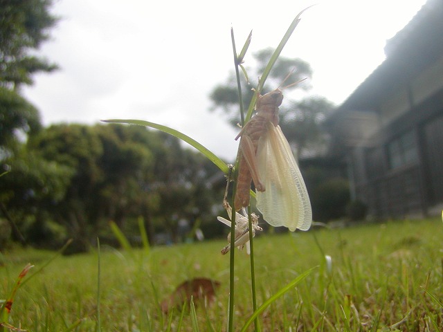 d0037110_2026475.jpg