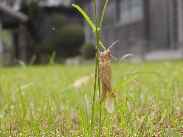 d0037110_20275389.jpg