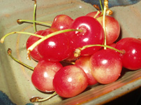 a0022216_13504885.jpg