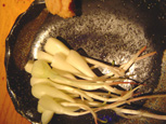 c0135618_854224.jpg