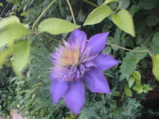 e0016828_17301123.jpg