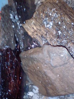 f0098728_21145964.jpg