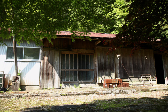 d0147530_681662.jpg