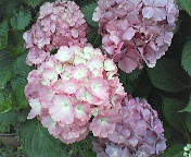 c0141431_22313171.jpg