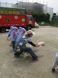 b0013832_021266.jpg