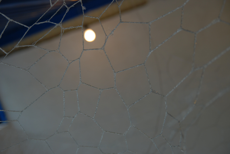 e0104133_1236977.jpg