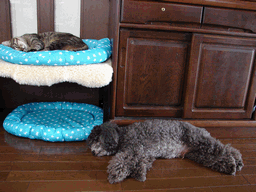 c0136736_16444787.gif