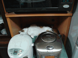 c0136736_16475526.gif
