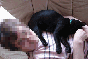 c0136736_1649418.gif