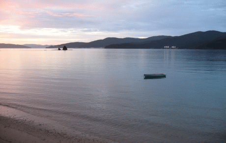 b0100637_1011121.gif
