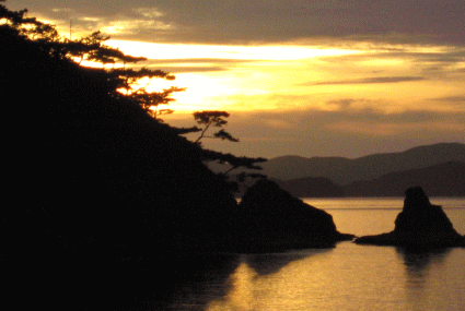 b0100637_10115487.gif