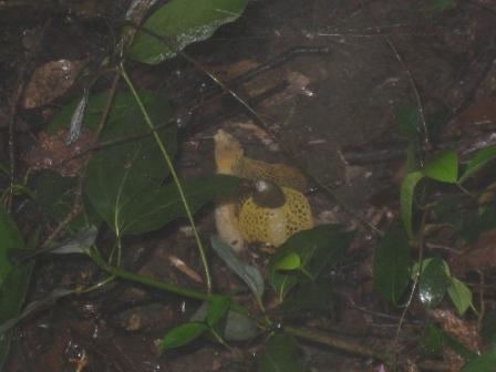 c0077338_2133644.jpg