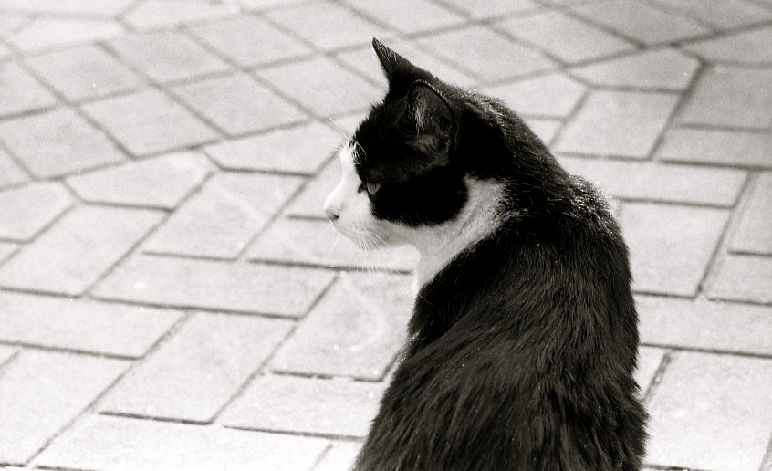 c0158340_1321876.jpg