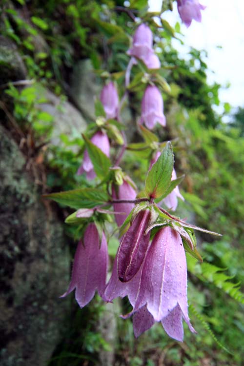 e0025943_14114615.jpg