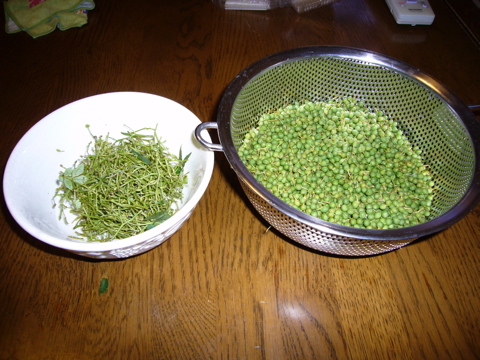 e0058443_0504435.jpg
