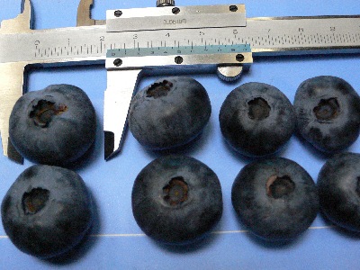 d0022845_722876.jpg