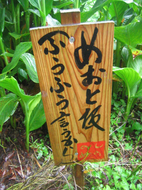 f0178145_2142257.jpg