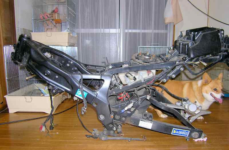 f0154649_2321224.jpg